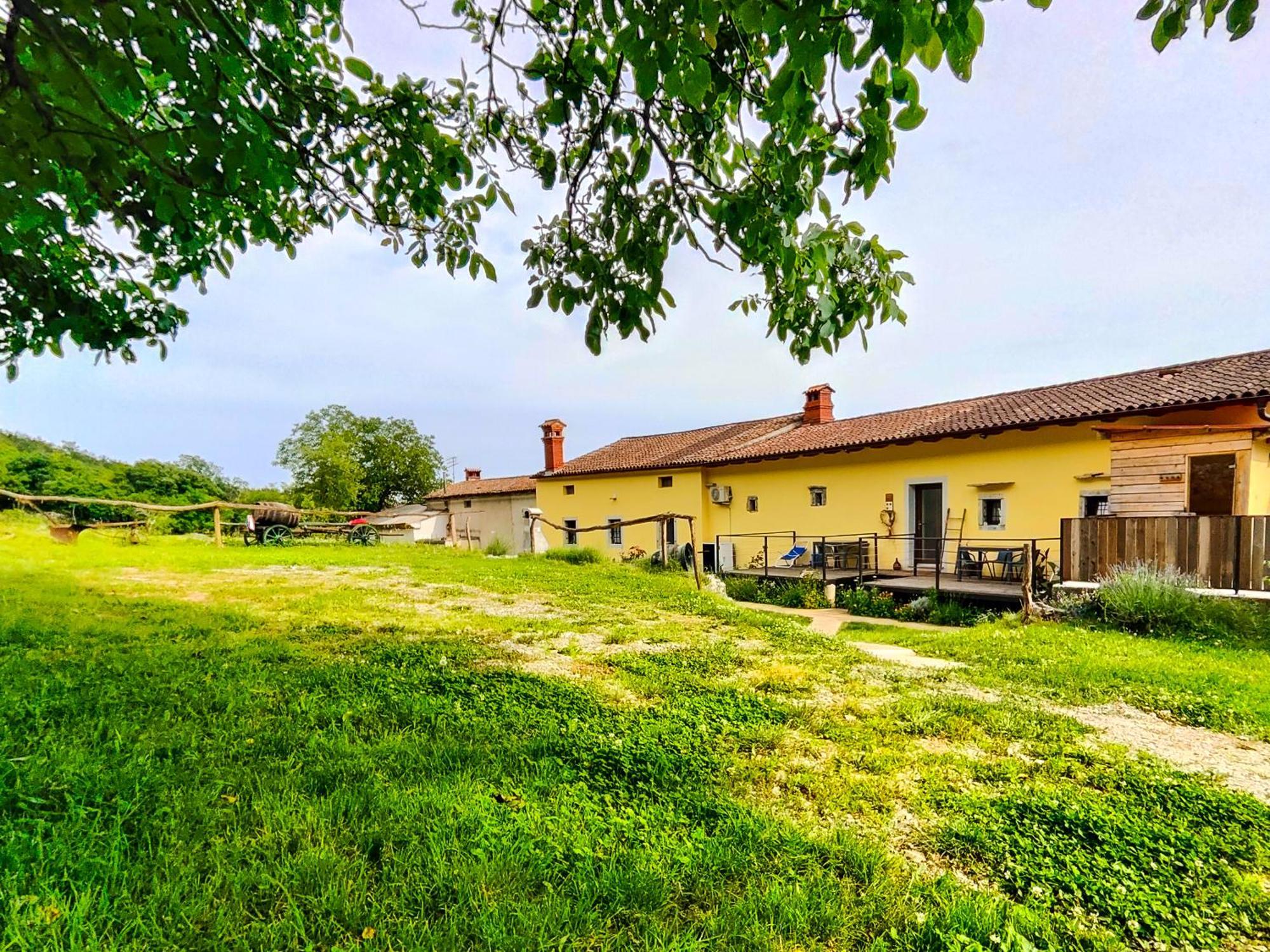 Homestead Zavadlal - Domacija Zavadlal Komen Eksteriør billede